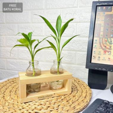 1 PAKET VAS BUNGA AESTHETIC / POT TANAMAN AIR BOTOL COVER KAYU ESTETIK warna VAS C. KAYU 2