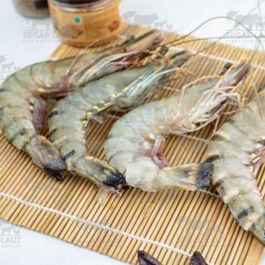 Udang Pancet | Windu | Tiger | Size Jumbo AK 10-12 ekor | Fresh Frozen 500 Gram Dibersihkan
