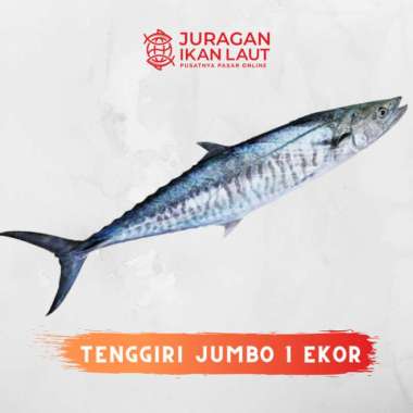 Ikan Tenggiri Jumbo Segar Berkualitas Ukuran 2.5 - 3 Kg Up - 1 Ekor