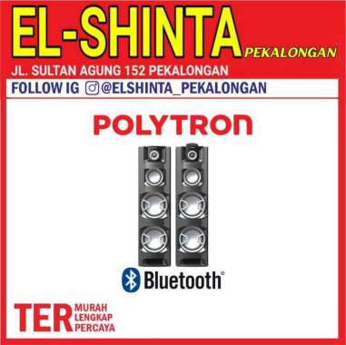 Polytron Active Speaker – PAS 8E22