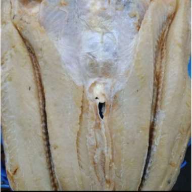 Ikan Asin Jambal 250gram