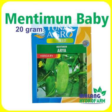 Benih Mentimun Baby Arya 20 gram Tunas Agro Unggul bibit biji sayur semi f1 sayuran timun kecil mini