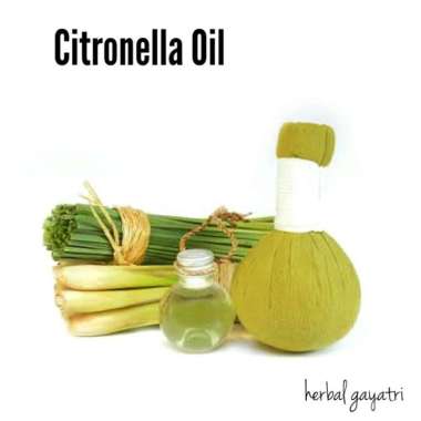 Citronella Essential Oil / Minyak Atsiri Sereh Wangi 100 ml