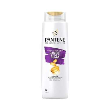 Promo Harga Pantene Shampoo Total Damage Care 750 ml - Blibli