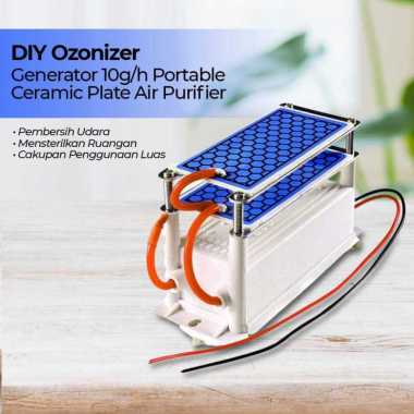 Ozonizer DIY Ozone Generator 10g/h Portable Ceramic Plate Air Purifier