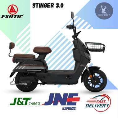 Sepeda Listrik EXOTIC STINGER 3.0 500 Watt Exotic Pacific E Bike hitam