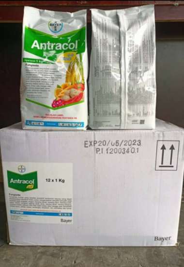fungisida antracol 1 kg pembasmi hama