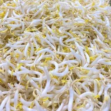 Toge/ Tauge 1 kg