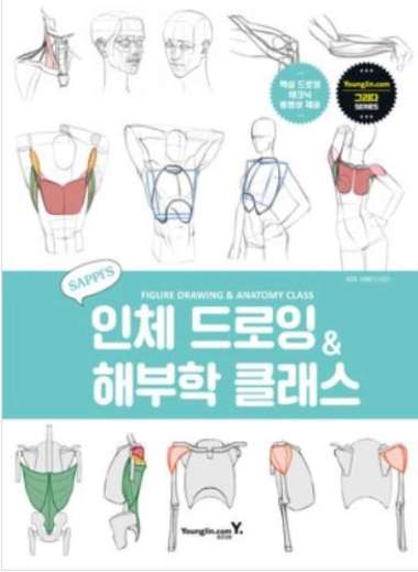 Figure Drawing and Anatomy Class Saepi Korea Manga Anime Tutal Book Multivariasi
