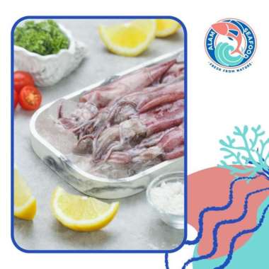Cumi Basah/Cumi Tinta Frozen 1 kg