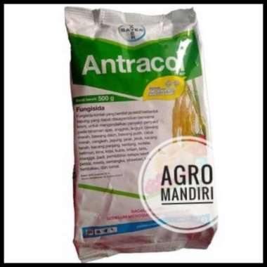 Antracol 70 WP 500 Gram Fungisida Kontak Pembasmi Jamur