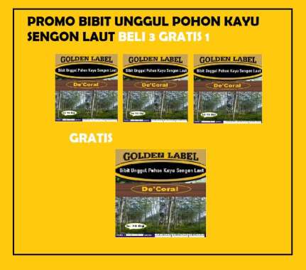 Promo Bibit unggul Pohon Kayu Sengon laut Beli 3 Gratis 1