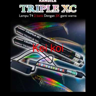 KANDILA TRIPLE XC 80 LAMPU T4 CELUP