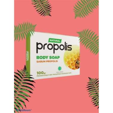 HNI SABUN PROPOLIS 100gr - Anti Kulit Berminyak