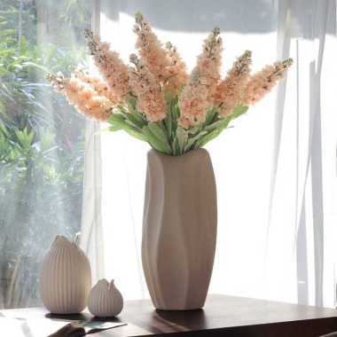 Vinoti Living Delphinium Short - Peach