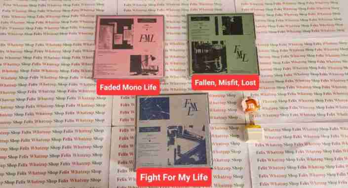 Seventeen - FML [10TH Mini Album] Official Album SEALED Fallen,Misfit,L