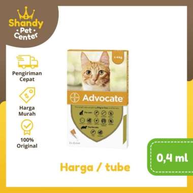 ADVOCATE KUCING 4 KG