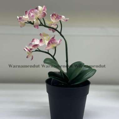 Tanaman Hias Artficial Tanaman Tiruan Dekorasi Ruang Tamu Aneka Jenis Diameter 9cm WMO IK3215 Anggre