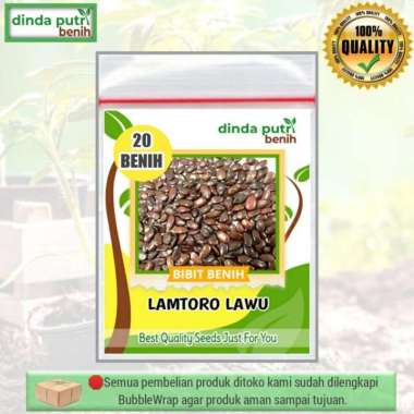 Benih Lamtoro (petai cina) 20biji/benih murah super
