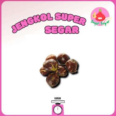 Sayur Segar - Jengkol Tua Segar 1 kg