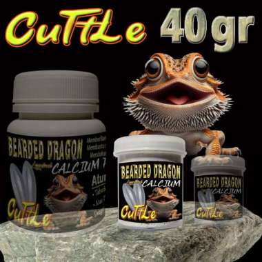 BEARDED DRAGON CUTTLE BUBUK TULANG SOTONG KALSIUM ALAMI SUPLEMEN KESEHATAN TULANG REPTIL VITAMIN MEN