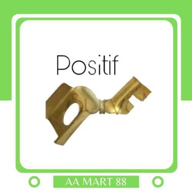 skun terminal aki motor kotak postif