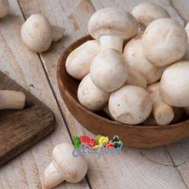 Champignon Mushroom Fresh Jamur Kancing Fresh 1 kg