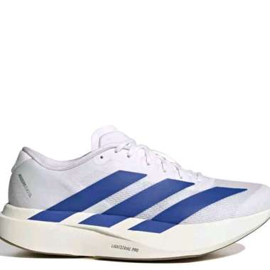 Adidas Adizero Evo SL Royal Blue || white