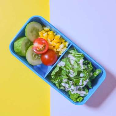 kubox kotak makan rectanguler with divider/lunch box Sekat Biru