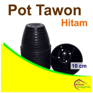 Pot Tawon 10 cm anggrek tanaman hias remaja dendrobium gramma grammatophyllum hitam terakota putih l