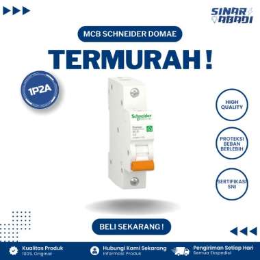 Schneider MCB Domae 1 Phase 2A