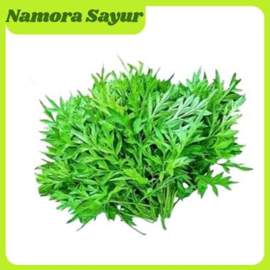 Daun Kenikir Segar 1 Pack