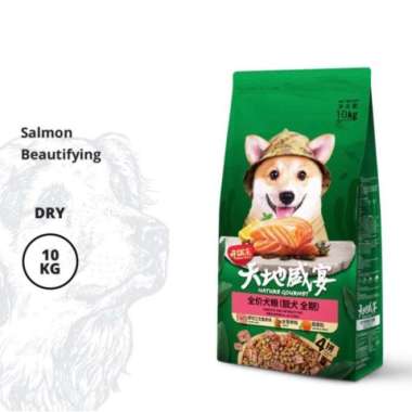 Kitchen Flavor Salmon Beauty Dog 10kg