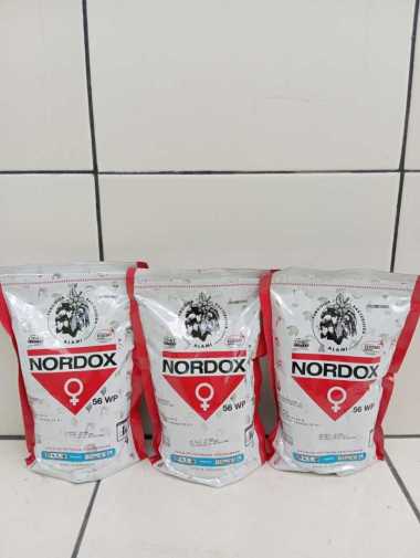 Fungisida Nordox 56WP 1KG