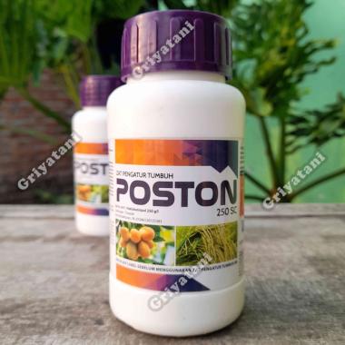 ZPT POSTON 250SC 250 Ml Zat Pengatur Tumbuh paklobutrazol