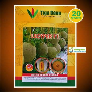 Benih Melon Lucyper F1 Daging Orange Cap Tiga Daun Isi 20 Gram