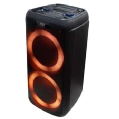 POLYTRON PARTY SPEAKER PPS 8L22