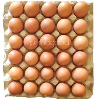 Telur/Telor Ayam Negeri 15 Kg Berkualitas