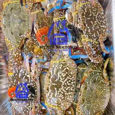 Rajungan murah fresh