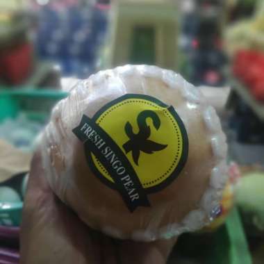 pear Singo  korea (1buah)