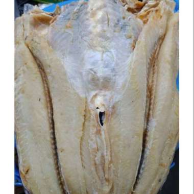 Ikan Asin Jambal 500gr