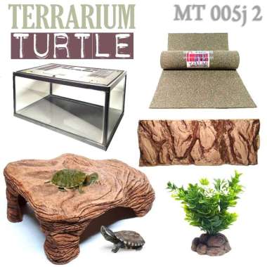 MT005J2 PAKET TERRARIUM REPTILE FULL SET KANDANG AQUARIUM TURTLE KURA KURA AIR AMBON RES BRAZIL CST