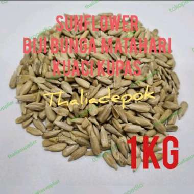 SUNFLOWER SEED/BIJI BUNGA MATAHARI/KUACI KUPAS MENTAH ECERAN 1KG