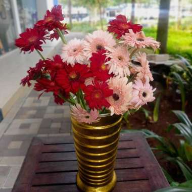 Bunga Gerbera Fresh isi 10 gerberamerah gerbera pink bunga gerbera