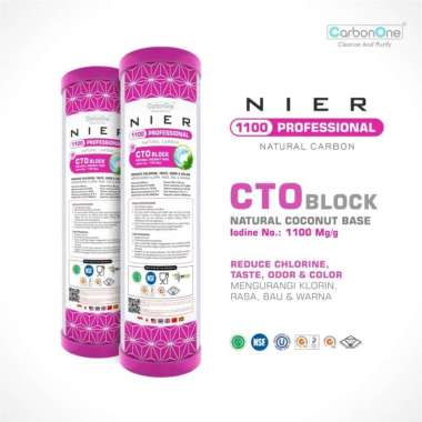 NIER PROFESSIONAL CTO - Cartridge Filter Air CTO 10" Iodine 1100