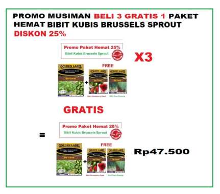 Promo Musiman Beli 3 Gratis 1 Paket Hemat Bibit Kubis Brussels Diskon 25%