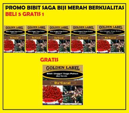 Promo Bibit Saga Biji Merah Berkualitas Beli 5 Gratis 1