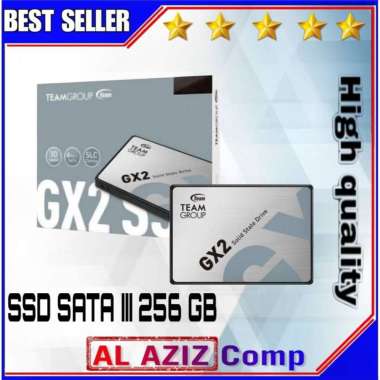 SSD SATA III TEAM Group GX2 256 GB Resmi