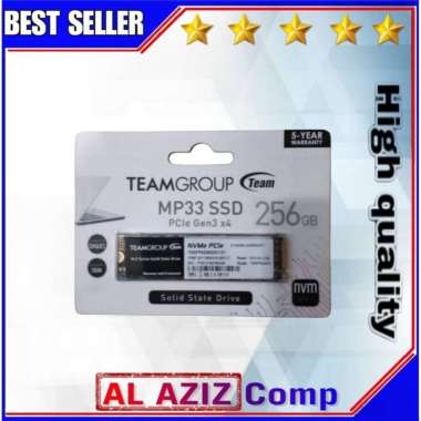 SSD Team m.2 Nvme MP33 256gb