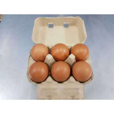AGAN TELUR TELUR AYAM NEGERI FRESH 6 BUTIR PER BOX